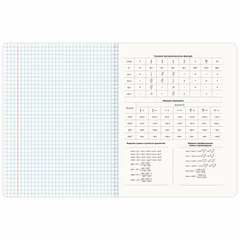 Тетради предметные, КОМПЛЕКТ 12 ПРЕДМЕТОВ, 48 л., глянцевый УФ-лак, BRAUBERG, &laquo;PIGMENT&raquo;, 404834