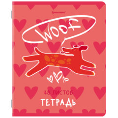 Тетради ДЭК А5 48 л. КОМПЛЕКТ 5 шт. BRAUBERG, скоба, клетка, TWIN-лак, &laquo;PINK MOOD&raquo;, 404930
