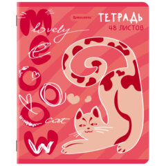 Тетради ДЭК А5 48 л. КОМПЛЕКТ 5 шт. BRAUBERG, скоба, клетка, TWIN-лак, &laquo;PINK MOOD&raquo;, 404930