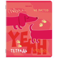 Тетради ДЭК А5 48 л. КОМПЛЕКТ 5 шт. BRAUBERG, скоба, клетка, TWIN-лак, &laquo;PINK MOOD&raquo;, 404930