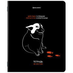 Тетради ДЭК А5 48 л. КОМПЛЕКТ 5 шт. BRAUBERG, скоба, клетка, TWIN-лак, &laquo;МЕМЫ&raquo;, 404937