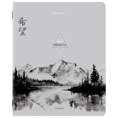 Тетради ДЭК А5 48 л. КОМПЛЕКТ 5 шт. BRAUBERG скоба, клетка, матовая ламинация, CALM NATURE, 404951