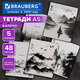 Тетради ДЭК А5 48 л. КОМПЛЕКТ 5 шт. BRAUBERG скоба, клетка, матовая ламинация, CALM NATURE, 404951
