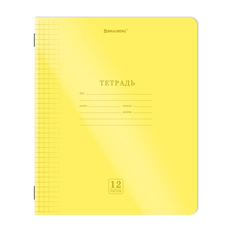Тетрадь пластиковая обложка (НЕОН) 12 листов, клетка, BRAUBERG "Smart Cover", АССОРТИ (микс в спайке), 405025 - фото 3