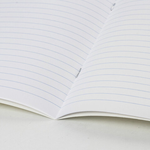 Тетрадь пластиковая обложка (НЕОН) 12 листов, линия, BRAUBERG "Smart Cover", АССОРТИ (микс в спайке), 405026 - фото 8