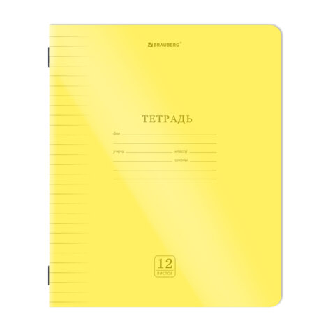 Тетрадь пластиковая обложка (НЕОН) 12 листов, линия, BRAUBERG "Smart Cover", АССОРТИ (микс в спайке), 405026 - фото 3