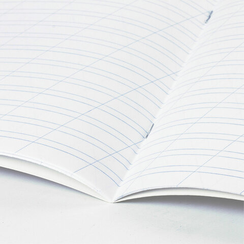 Тетрадь пластиковая обложка (НЕОН) 12 листов, косая линия, BRAUBERG "Smart Cover", АССОРТИ (микс в спайке), 405027 - фото 8