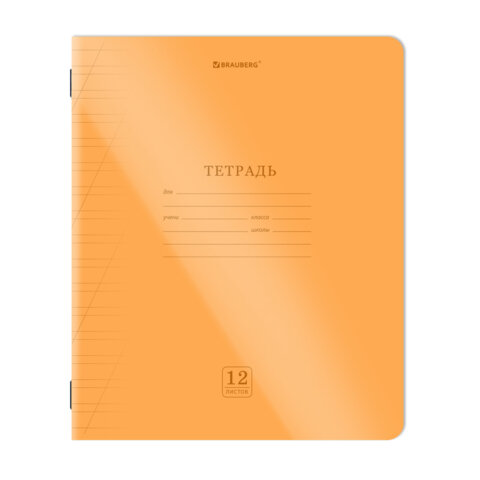 Тетрадь пластиковая обложка (НЕОН) 12 листов, косая линия, BRAUBERG "Smart Cover", АССОРТИ (микс в спайке), 405027 - фото 5