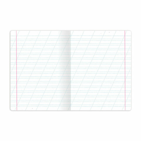 Тетрадь пластиковая обложка (НЕОН) 12 листов, косая линия, BRAUBERG "Smart Cover", АССОРТИ (микс в спайке), 405027 - фото 9