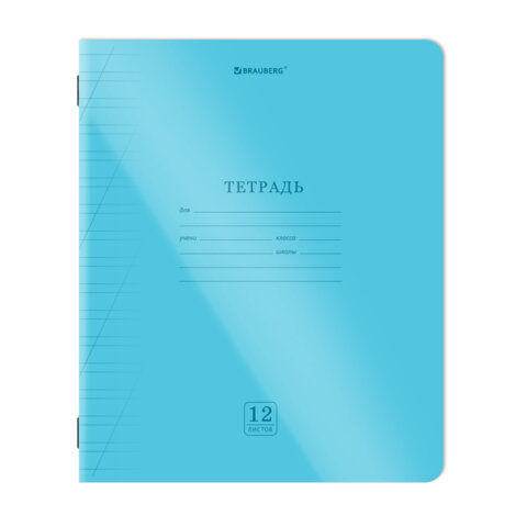 Тетрадь пластиковая обложка (НЕОН) 12 листов, косая линия, BRAUBERG "Smart Cover", АССОРТИ (микс в спайке), 405027 - фото 6