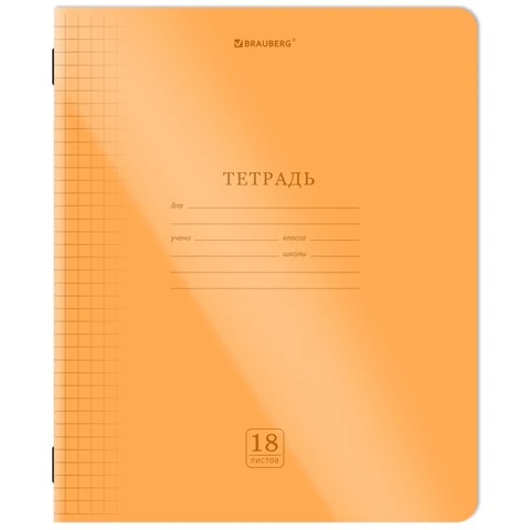 Тетрадь пластиковая обложка (НЕОН) 18 листов, клетка, BRAUBERG "Smart Cover", АССОРТИ (микс в спайке), 405032 - фото 5