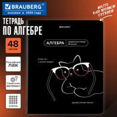 Тетрадь предметная МЕМЫ 48 л., TWIN-лак, АЛГЕБРА, клетка, подсказки, BRAUBERG, 405096