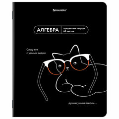 Тетради предметные, КОМПЛЕКТ 12 ПРЕДМЕТОВ, 48 л., TWIN-лак, BRAUBERG &laquo;МЕМЫ&raquo;, 405172