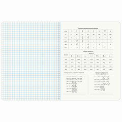 Тетради предметные, КОМПЛЕКТ 12 ПРЕДМЕТОВ, 48 л., TWIN-лак, BRAUBERG &laquo;МЕМЫ&raquo;, 405172