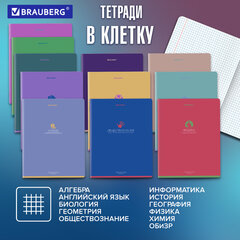 Тетради предметные, КОМПЛЕКТ 13 ПРЕДМЕТОВ, 48 л., матовая ламинация, BRAUBERG "MONOCOLOR", 405175
