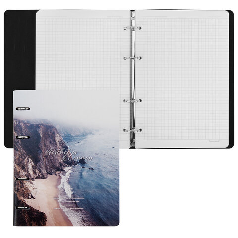 Тетрадь на кольцах А5, 175х215 мм, 120 л., под кожу, BRAUBERG VISTA, "Esthetics", 405208