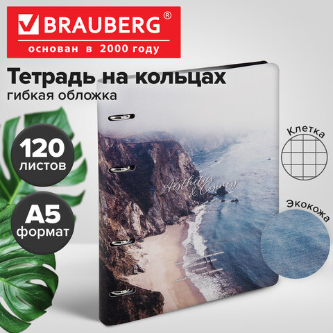 Тетрадь на кольцах А5, 175х215 мм, 120 л., под кожу, BRAUBERG VISTA, "Esthetics", 405208
