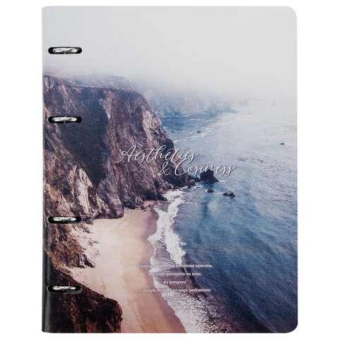 Тетрадь на кольцах А5, 175х215 мм, 120 л., под кожу, BRAUBERG VISTA, "Esthetics", 405208