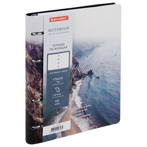 Тетрадь на кольцах А5, 175х215 мм, 120 л., под кожу, BRAUBERG VISTA, "Esthetics", 405208