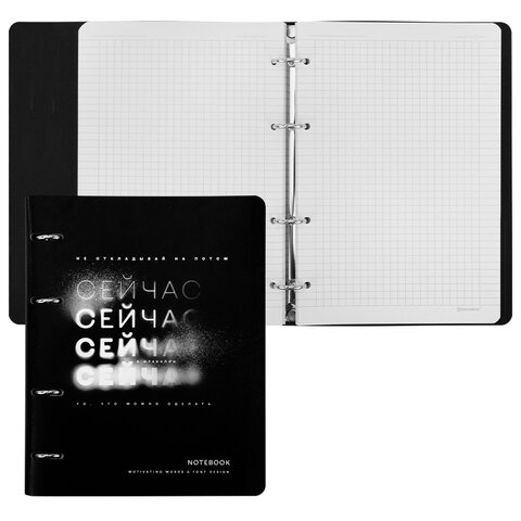 Тетрадь на кольцах А5, 175х215 мм, 120 л., под кожу, BRAUBERG VISTA, "Сейчас", 405212