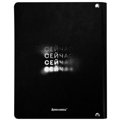 Тетрадь на кольцах А5, 175х215 мм, 120 л., под кожу, BRAUBERG VISTA, "Сейчас", 405212