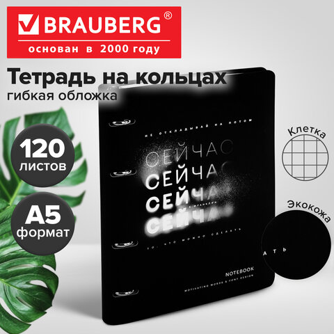 Тетрадь на кольцах А5, 175х215 мм, 120 л., под кожу, BRAUBERG VISTA, "Сейчас", 405212