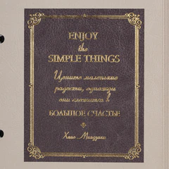 Тетрадь на кольцах А5, 180&times;220 мм, 120 л., под кожу, фольга, резинка, стикеры, BRAUBERG, &laquo;Винтаж&raquo;, 405218