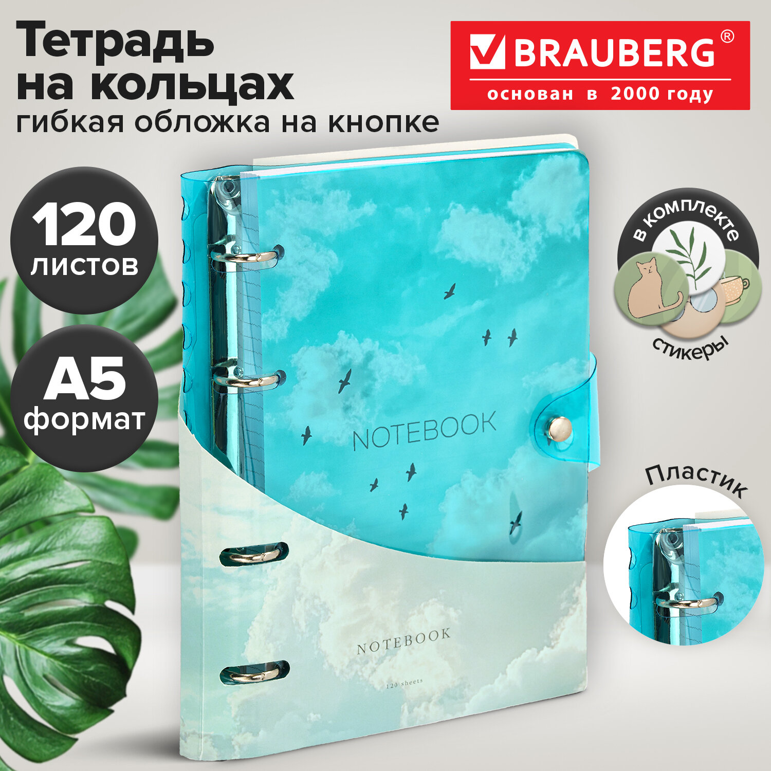 Тетрадь на кольцах А5, 175х215 мм, 120 л., неоновый пластик, клапан, BRAUBERG, синий, 405223