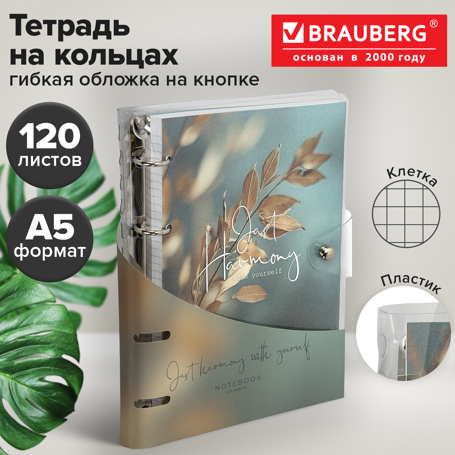 Тетрадь на кольцах А5, 175х215 мм, 120 л., гибкий пластик, клапан, BRAUBERG STYLISH, "Эстетика природы", 405225