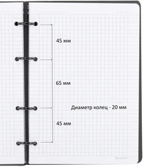 Тетрадь на кольцах А5, 160&times;212 мм, 120 л., под кожу, вырубка, резинка, стикеры, BRAUBERG, &laquo;Туман&raquo;, 405231