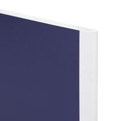 Тетради ДЭК А4 96 л. КОМПЛЕКТ 2 шт., BRAUBERG, на сшивке с корешком, клетка, &laquo;Моноколор&raquo;, 405297