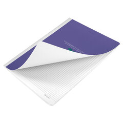 Тетради ДЭК А4 96 л. КОМПЛЕКТ 2 шт., BRAUBERG, на сшивке с корешком, клетка, &laquo;Monocolor&raquo;, 405298