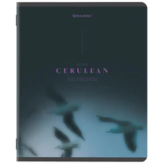 Тетрадь А5, 48 л., BRAUBERG, скоба, клетка, SoftTouch, &laquo;Peaceful&raquo;, (микс в спайке), 405327