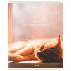 Тетрадь А5, 48 л., BRAUBERG, скоба, клетка, матовая ламинация, &laquo;Cats&raquo;, (микс в спайке), 405334