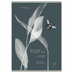 Тетрадь А4 80 л. ПЗБМ, скоба, клетка, Soft Touch, брайль, &laquo;Латынь&raquo; (микс в спайке), 23430