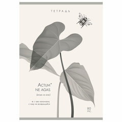 Тетрадь А4 80 л. ПЗБМ, скоба, клетка, Soft Touch, брайль, &laquo;Латынь&raquo; (микс в спайке), 23430