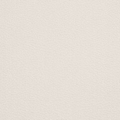 Тетрадь обложка пластик, А4 80 л., гребень мягкий (силиконовый), клетка, BRAUBERG, бежевая, 405354