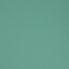 Тетрадь обложка пластик, А4 80 л., гребень мягкий (силиконовый), клетка, BRAUBERG, зеленая, 405355