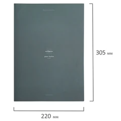 Тетрадь на кольцах БОЛЬШАЯ А4, 220&times;305 мм, 100 л., твердый картон, клетка, BRAUBERG, &laquo;Rhythm&raquo;, 405407