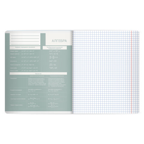 Тетрадь предметная MonoPastel 48 л., пластиковая обложка, АЛГЕБРА, клетка, подсказ, BRAUBERG, 405501 - фото 3