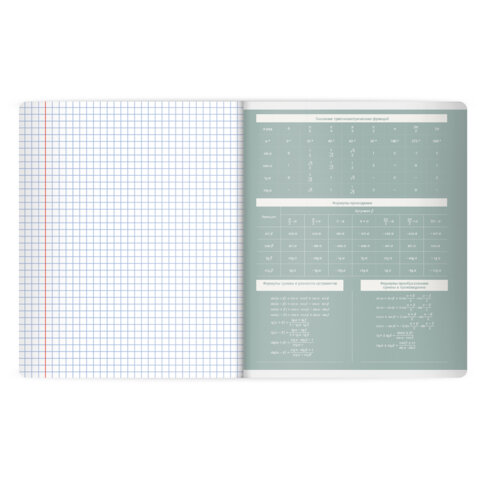 Тетрадь предметная MonoPastel 48 л., пластиковая обложка, АЛГЕБРА, клетка, подсказ, BRAUBERG, 405501 - фото 4