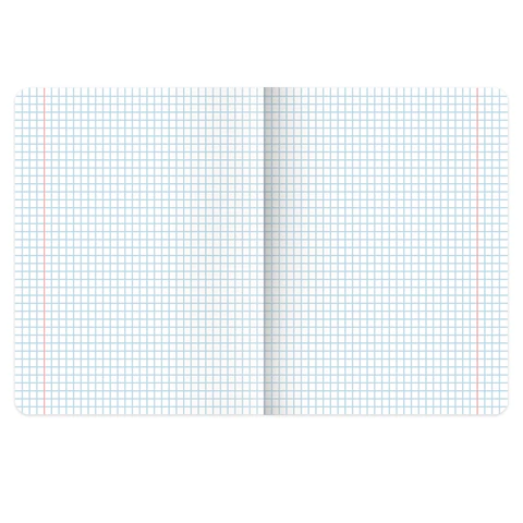 Тетрадь предметная MonoPastel 48 л., пластиковая обложка, ОБЩЕСТВОЗНАНИЕ, клетка, подсказ, BRAUBERG, 405502 - фото 2