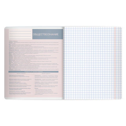 Тетрадь предметная MonoPastel 48 л., пластиковая обложка, ОБЩЕСТВОЗНАНИЕ, клетка, подсказ, BRAUBERG, 405502 - фото 3