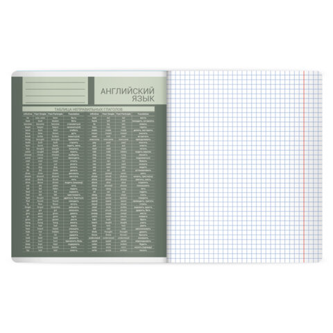 Тетрадь предметная MonoPastel 48 л., пластиковая обложка, АНГЛИЙСКИЙ ЯЗЫК, клетка, подсказ, BRAUBERG, 405503 - фото 3