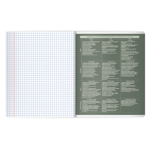 Тетрадь предметная MonoPastel 48 л., пластиковая обложка, АНГЛИЙСКИЙ ЯЗЫК, клетка, подсказ, BRAUBERG, 405503 - фото 4