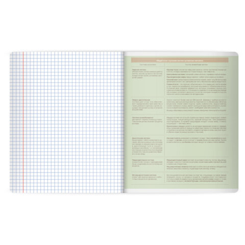 Тетрадь предметная MonoPastel 48 л., пластиковая обложка, БИОЛОГИЯ, клетка, подсказ, BRAUBERG, 405504 - фото 4