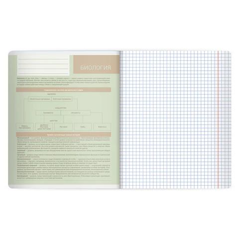 Тетрадь предметная MonoPastel 48 л., пластиковая обложка, БИОЛОГИЯ, клетка, подсказ, BRAUBERG, 405504 - фото 3