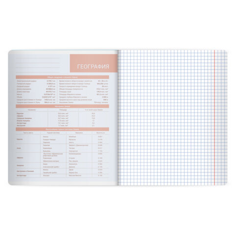 Тетрадь предметная MonoPastel 48 л., пластиковая обложка, ГЕОГРАФИЯ, клетка, подсказ, BRAUBERG, 405505 - фото 3