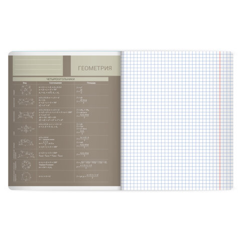 Тетрадь предметная MonoPastel 48 л., пластиковая обложка, ГЕОМЕТРИЯ, клетка, подсказ, BRAUBERG, 405506 - фото 3