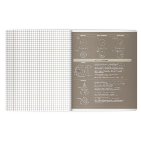 Тетрадь предметная MonoPastel 48 л., пластиковая обложка, ГЕОМЕТРИЯ, клетка, подсказ, BRAUBERG, 405506 - фото 4